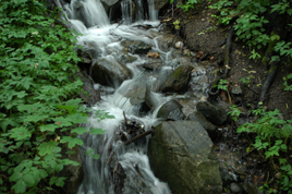 DSC7040