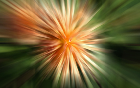 speedflower
