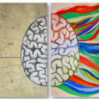 brain