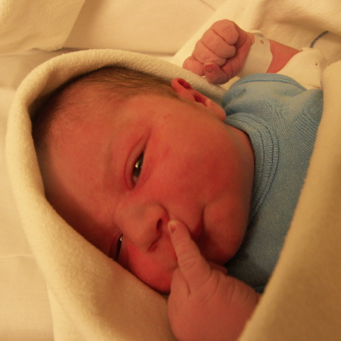 En Leia fds En Leia fds