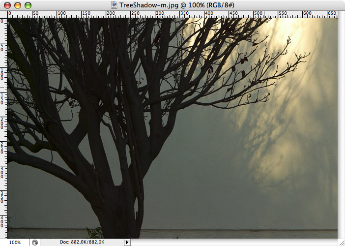 Picture_1