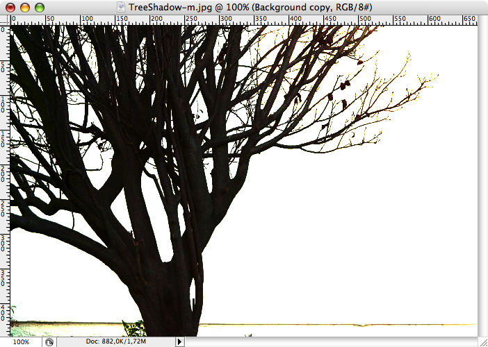 Picture_4