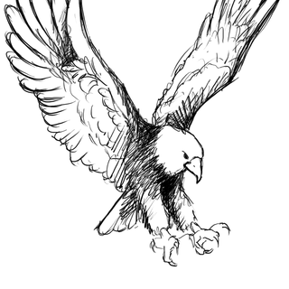Rovfågel