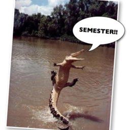 Semester!