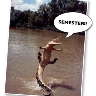 Semester!