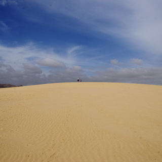 Sanddyner
