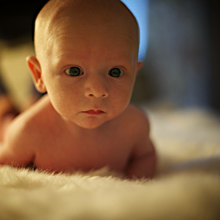 Fotosession: Arvid