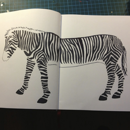 Lång Zebra