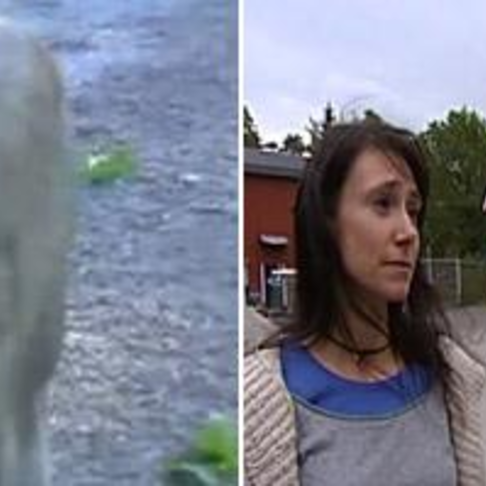 Uttalande frn Parken Zoo Uttalande frn Parken Zoo