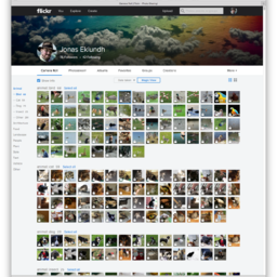Flickr: Magic View